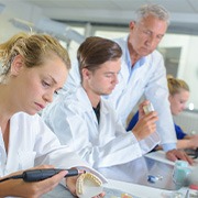 Lab techs in white coats making dentures